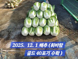 박성민님의 자유주제 · 자유게시판 작성글 사진