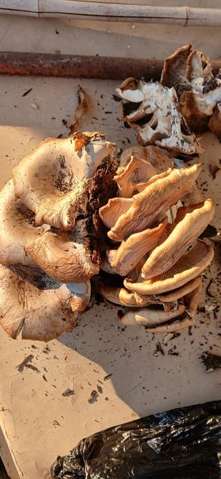 동원님의 자유주제 · 자유게시판 작성글 사진