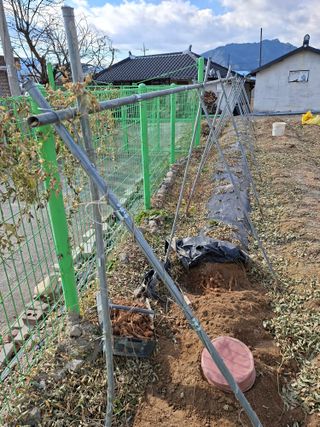 김중언님의 자유주제 · 자유게시판 작성글 사진