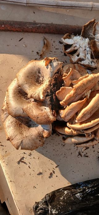 동원님의 자유주제 · 자유게시판 작성글 사진