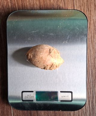 김중언님의 작성글 사진