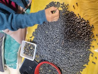 태풍한가름님의 작성글 사진