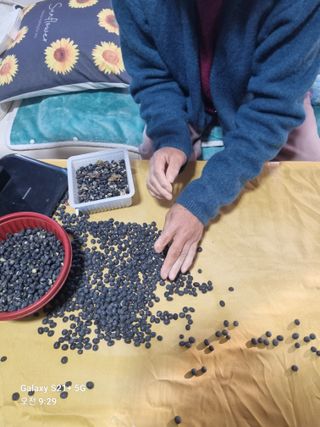 태풍한가름님의 작성글 사진