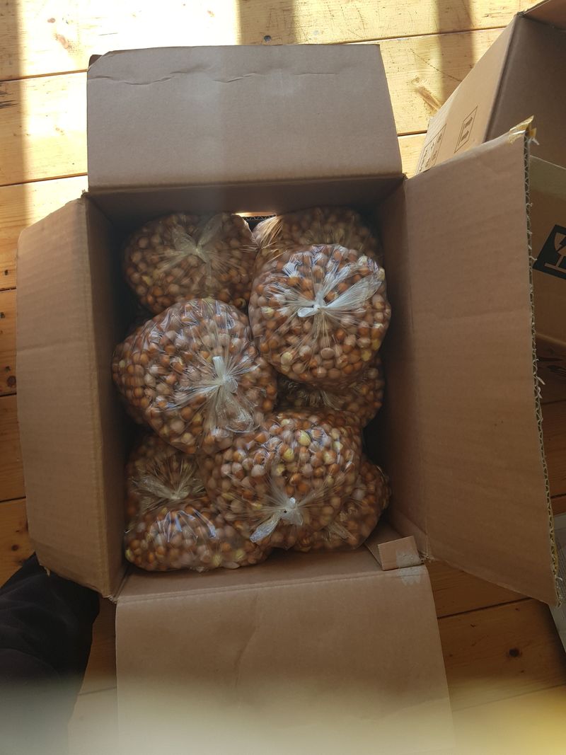 마늘  복숭아윤금자님의 장터 판매 상품 [피은행  깐알은행] 첨부 사진