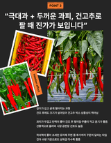 대산농사대장님의 고추·품종•종자 작성글 사진