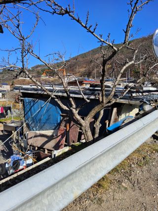 김용대님의 자유주제 · 자유게시판 작성글 사진