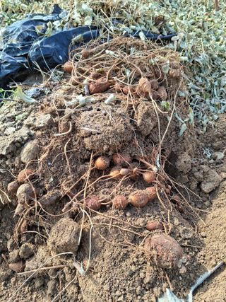 김중언님의 자유주제 · 자유게시판 작성글 사진