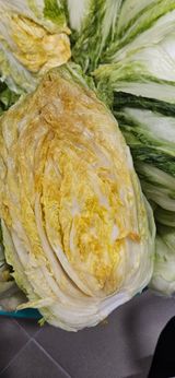 팜모닝 자유주제·자유게시판 게시글 이미지