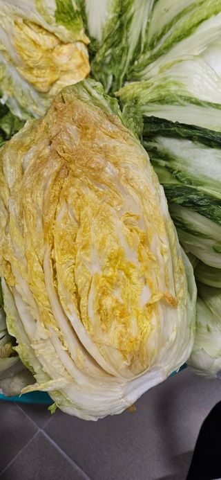 영섭님의 자유주제 · 자유게시판 작성글 사진