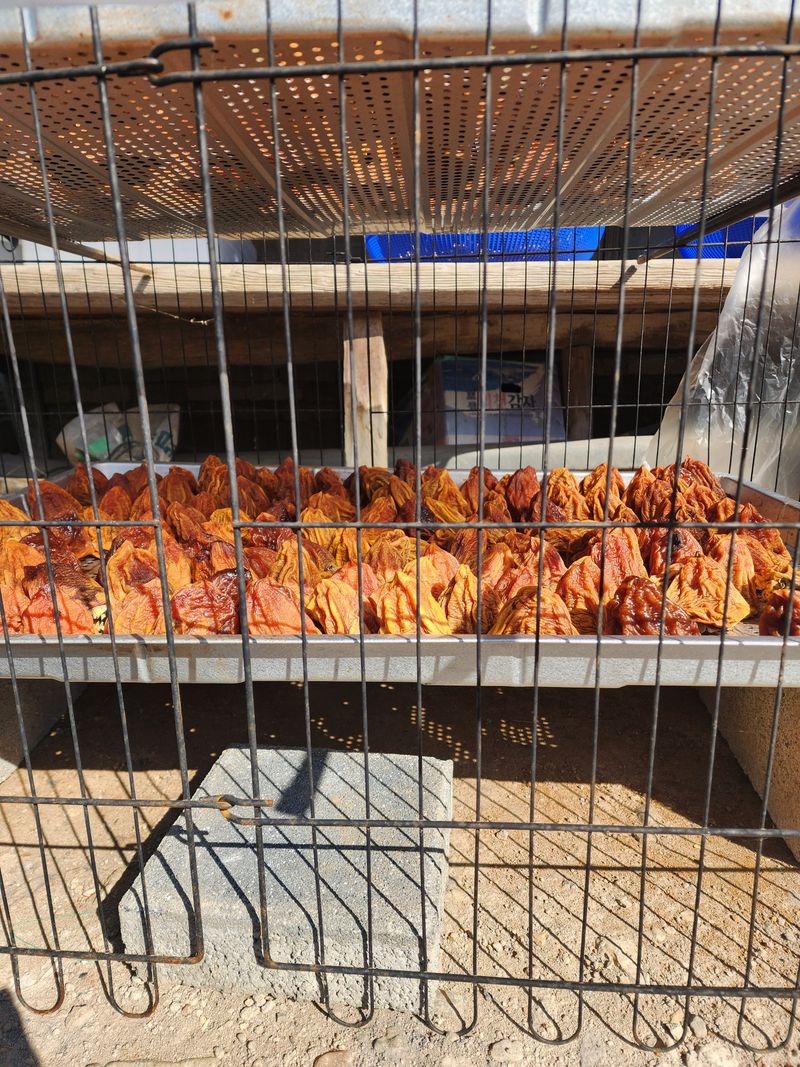 대봉감 단감 고구마님의 장터 판매 상품 [대봉감 15키로 1박스 39000원] 첨부 사진