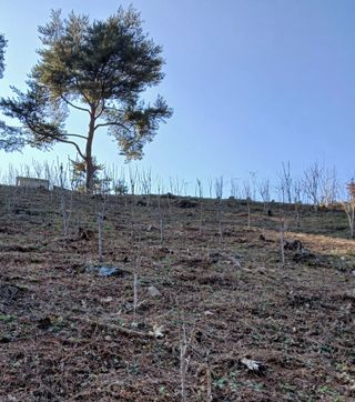 인생은 소풍처럼님의 자유주제 · 자유게시판 작성글 사진