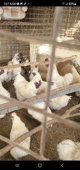 팜모닝 · 게시글 이미지