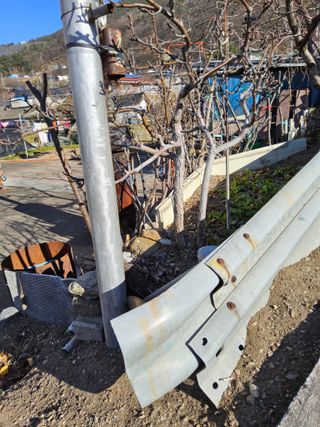 김용대님의 자유주제 · 자유게시판 작성글 사진