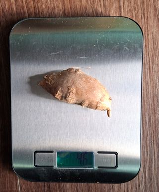 김중언님의 작성글 사진