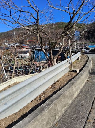 김용대님의 자유주제 · 자유게시판 작성글 사진