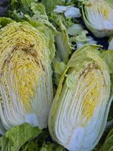 팜모닝 농사, 무엇이든 물어보세요!·참여글 게시글 이미지