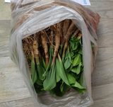 팜모닝 · 게시글 이미지