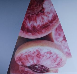 황덕순 님의 작성글 사진