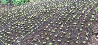 황덕순 님의 작성글 사진