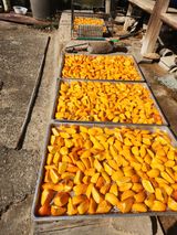 팜모닝 · 게시글 이미지