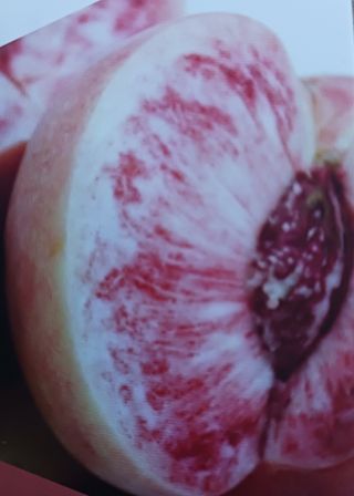 황덕순 님의 작성글 사진