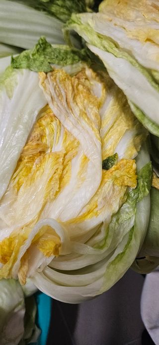 영섭님의 자유주제 · 자유게시판 작성글 사진