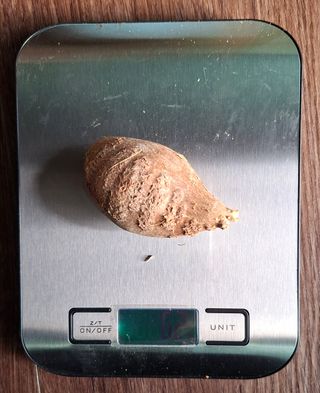 김중언님의 작성글 사진