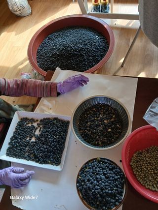 바위돌 심재성님의 작성글 사진