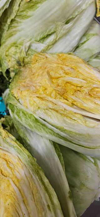 영섭님의 자유주제 · 자유게시판 작성글 사진