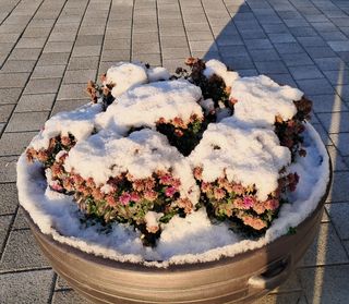 MSG0074님의 자유주제 · 자유게시판 작성글 사진