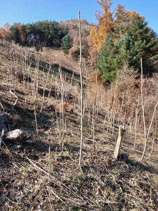 인생은 소풍처럼님의 자유주제 · 자유게시판 작성글 사진