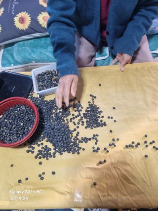 태풍한가름님의 작성글 사진