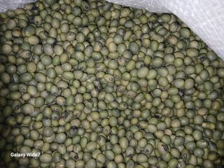 바위돌 심재성님의 작성글 사진