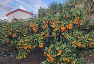 김행복님의 작성글 사진