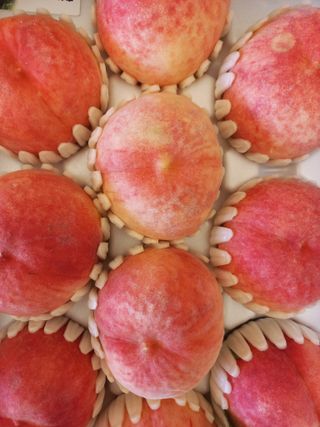 황덕순 님의 작성글 사진