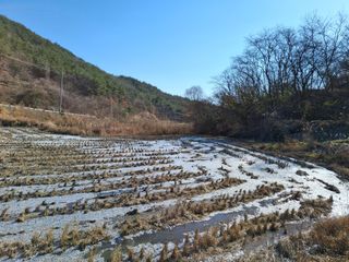 MSG0074님의 자유주제 · 자유게시판 작성글 사진