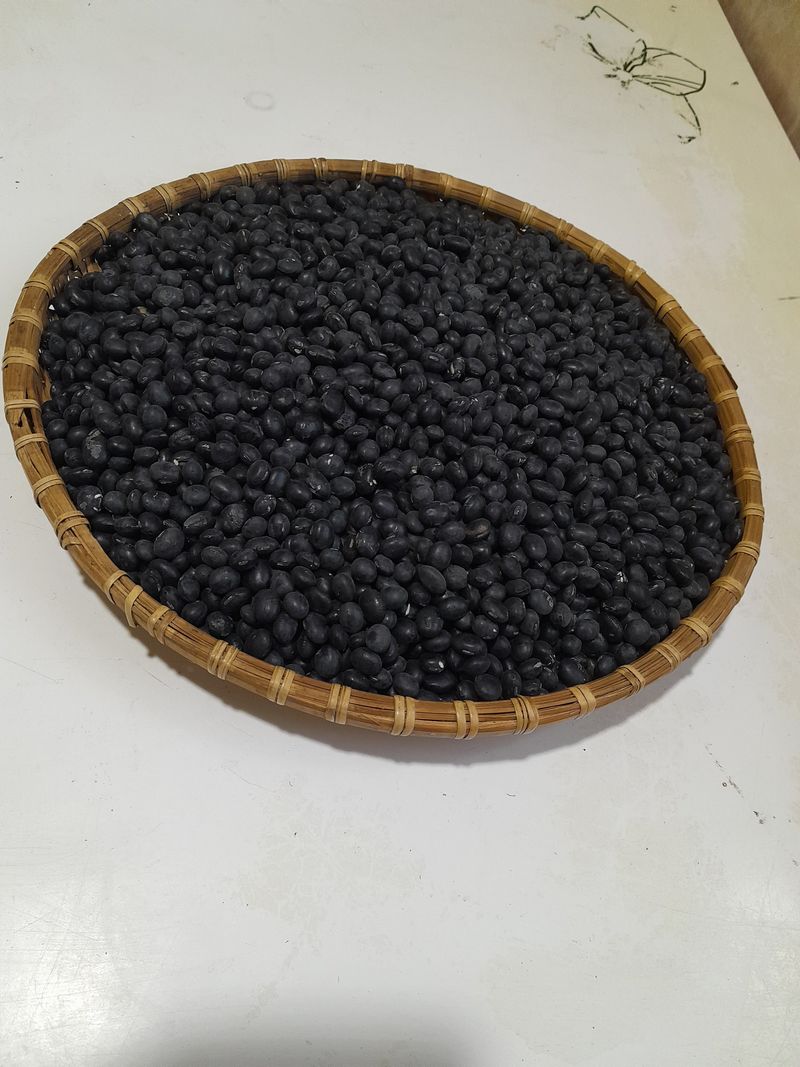 이승주님의 장터 판매 상품 [햇콩 서리태 태청 1키로 만원] 첨부 사진