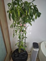 팜모닝 자유주제·자유게시판 게시글 이미지