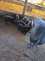 팜모닝 자유주제·자유게시판 게시글 이미지