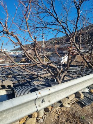 김용대님의 자유주제 · 자유게시판 작성글 사진