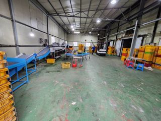 양태숙님의 작성글 사진