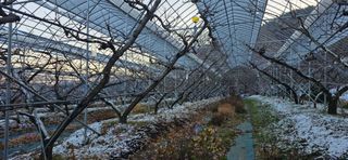 달맛햇복숭아농원님의 자유주제 · 사진전 작성글 사진