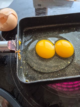 귤19190님의 작성글 사진