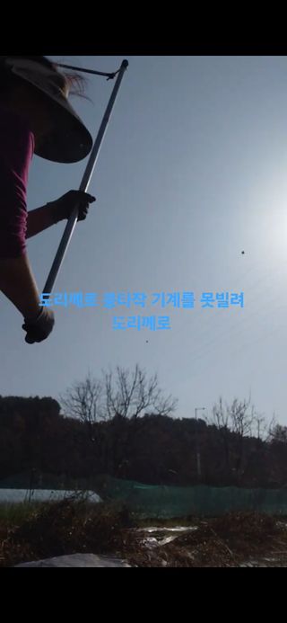 오화순님의 자유주제 · 자유게시판 작성글 사진