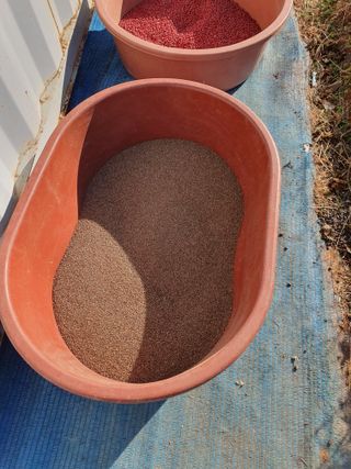 두릅나무10495님의 자유주제 · 자유게시판 작성글 사진