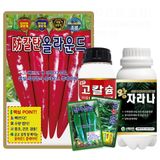 팜모닝 · 게시글 이미지