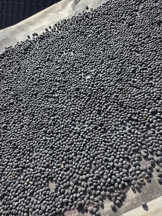 무형교회목사 안영진님의 작성글 사진