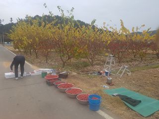 이형규님의 작성글 사진