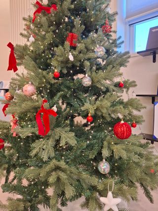 철남 김희곤님의 자유주제 · 자유게시판 작성글 사진