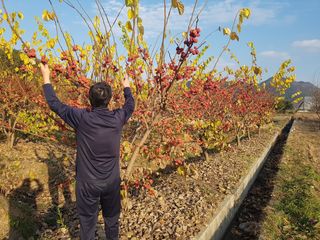 이형규님의 작성글 사진
